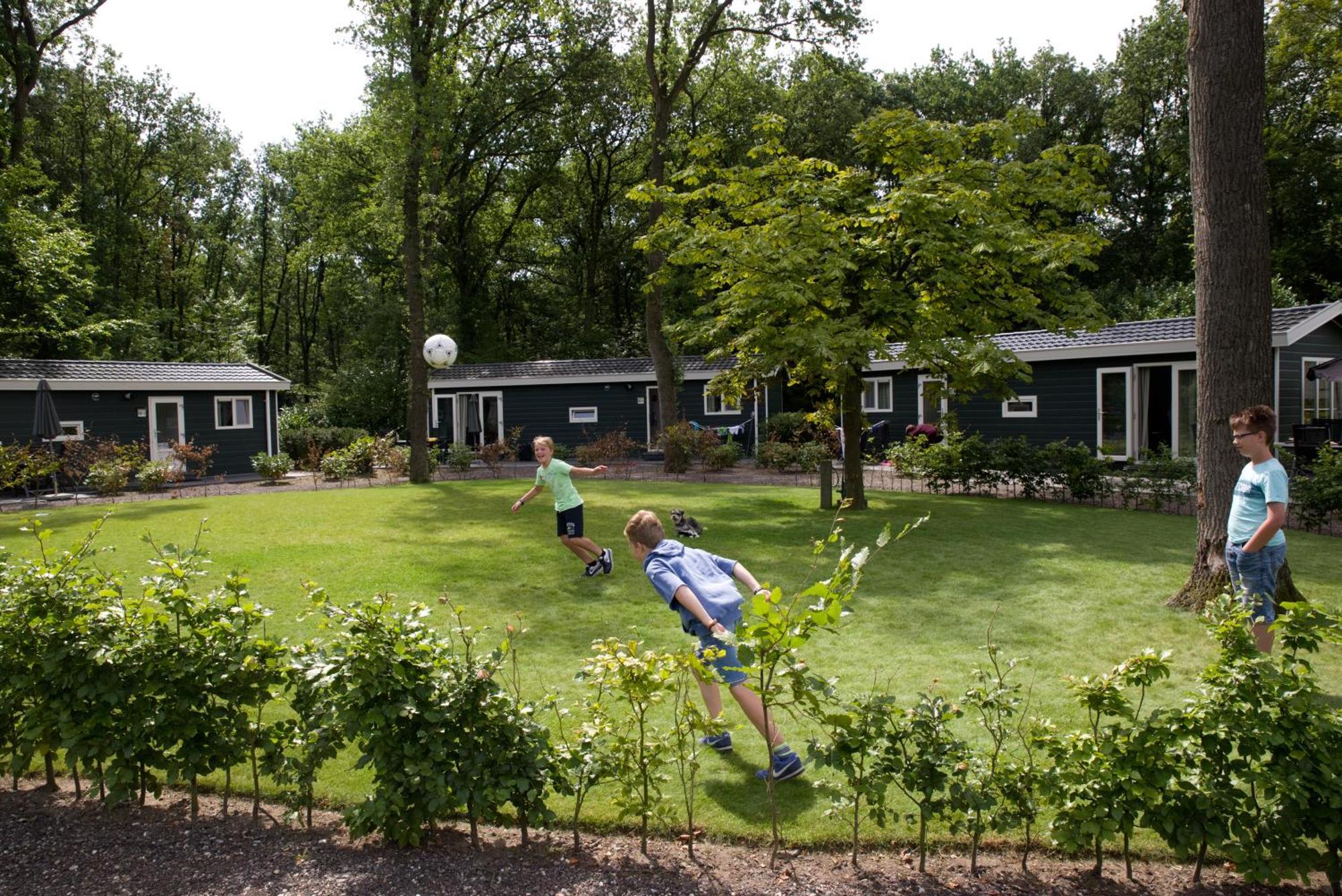 Vakantiepark Bonte Vlucht Doorn Eksteriør bilde